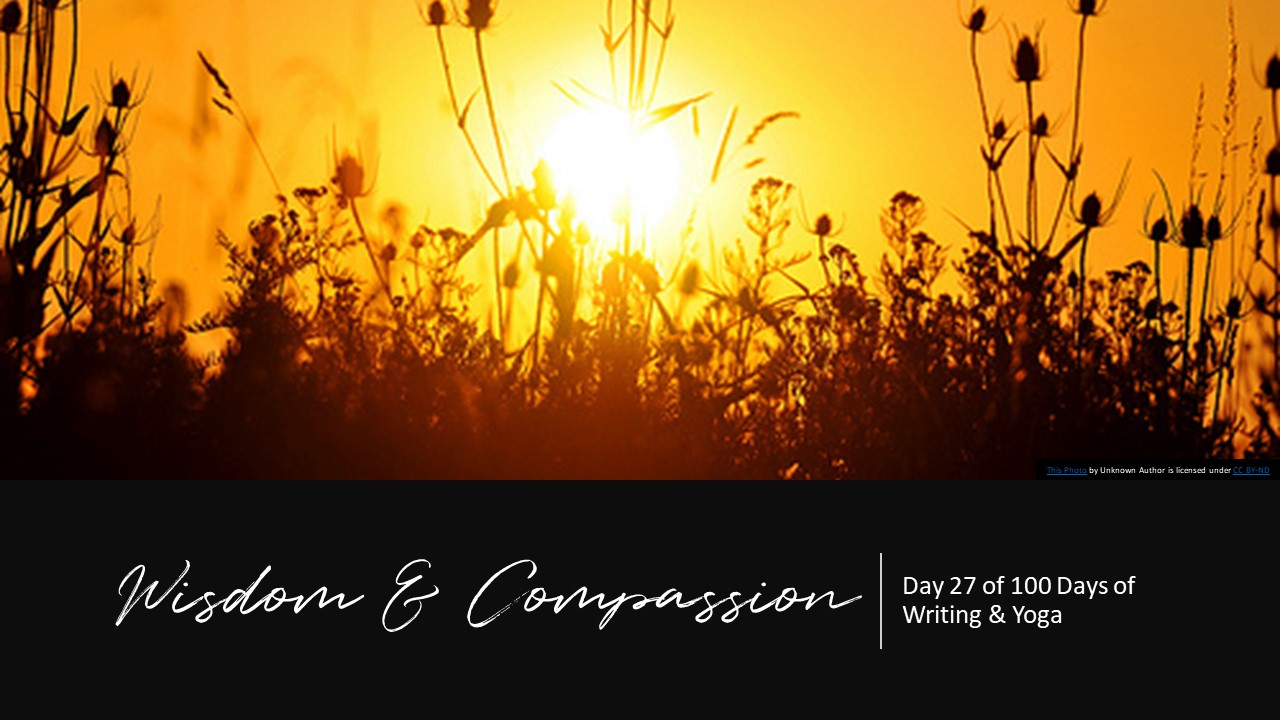 Wisdom & Compassion