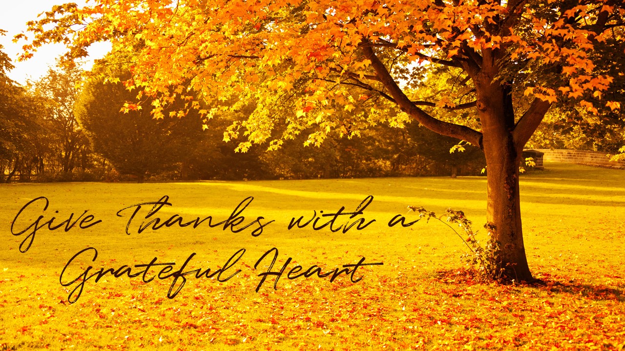 Grateful Heart day 77
