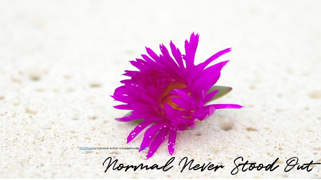 Normal Never Stood Out